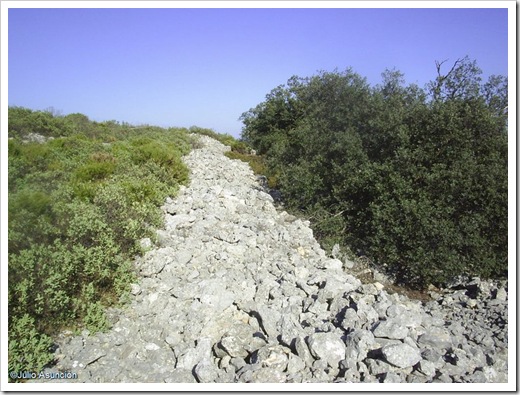 Rutas arqueológicas por Alicante POBLADO IBERO DE COVALTA (AGRES ALBAIDA)